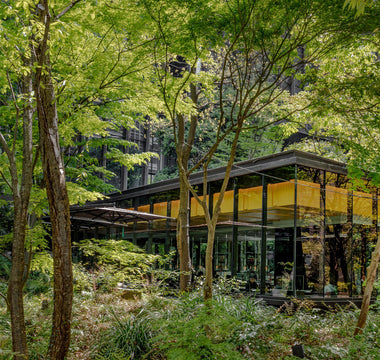 Aman Tokyo: the fragrance of the forest